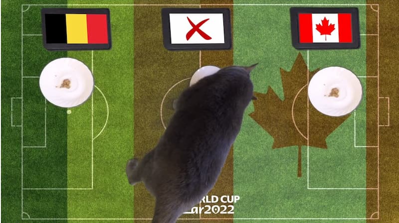 meo-du-doan-bong-da-hom-nay-1